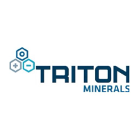 TRITON MINERALS LTD