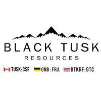 BLACK TUSK RES.INC.