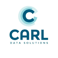 CARL DATA SOLUTIONS INC