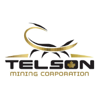 TELSON MNG CORP