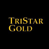 TRISTAR GOLD INC