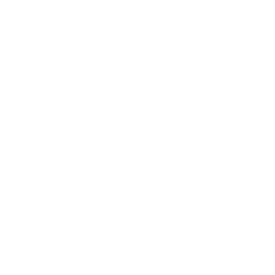 YAMANA GOLD INC