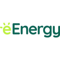 EENERGY GROUP