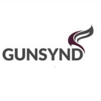 GUNSYND PLC