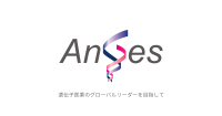 ANGES INC