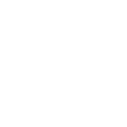 MEDICUS SCIENCES ACQUISITION CORP - CLASS A ORDINARY SHARE