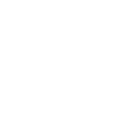 ANGION BIOMEDICA CORP