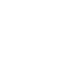 ARMSTRONG FLOOR.