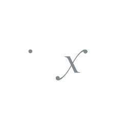 DIREXION DAILY SEMICONDUCTOR BULL 3X SHARES