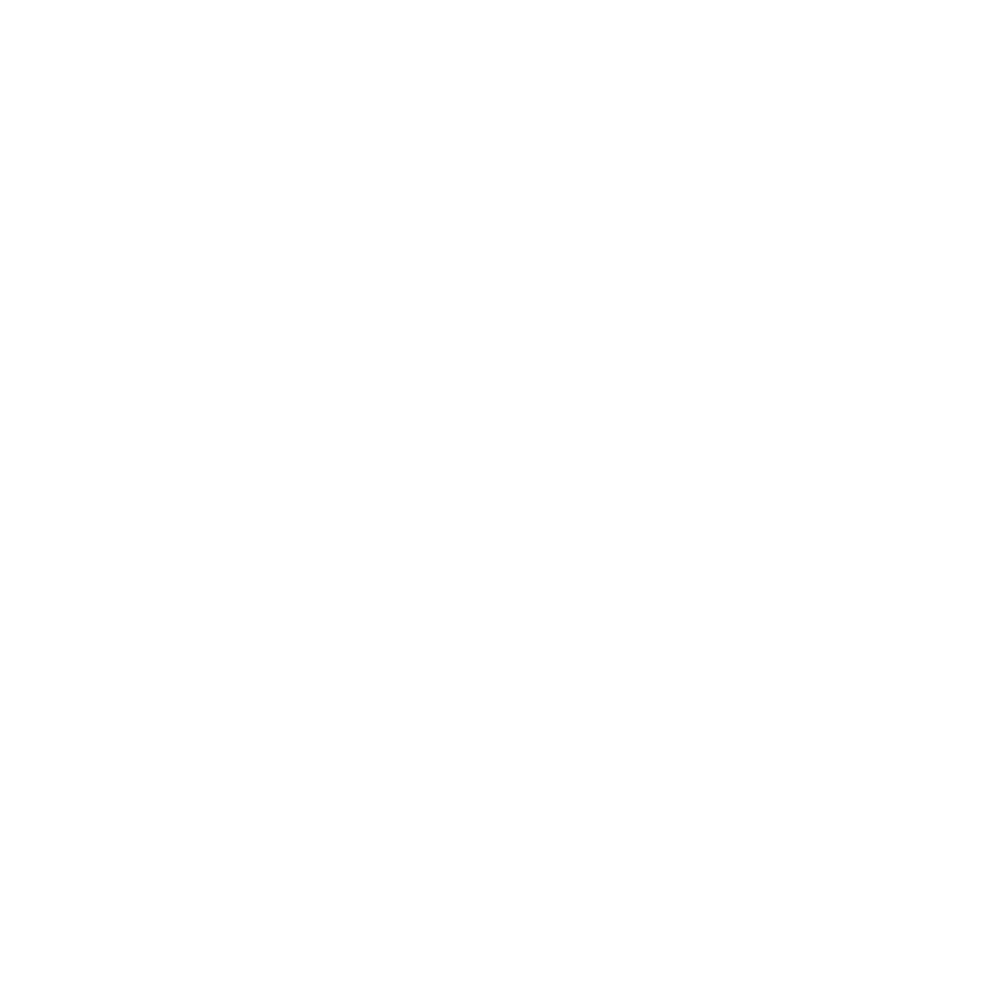 FG FINANCIAL GROUP INC