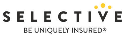 SELECTIVE INSURANCE GROUP INC- DEPOSITARY SHARES, EACH REPRESENTING A 1/1,000TH INTEREST IN A SHARE OF 4.60% NON-CUMULATIVE PREFERRED STOCK, SERIES B