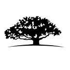 WISDOMTREE MANAGED FUTURES STRATEGY FUND