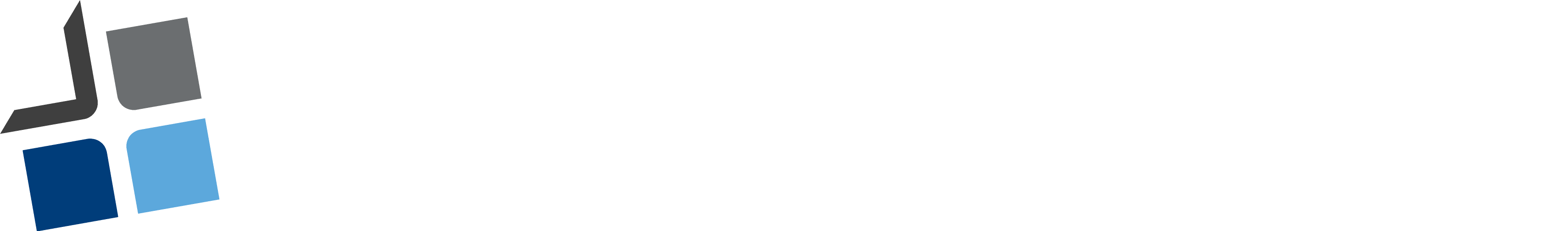 AGM GROUP HOLDINGS INC - CLASS A